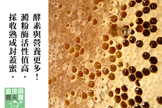 台灣特有　紅淡花野蜂蜜