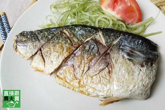永續海洋 台灣鯖魚片（薄鹽）