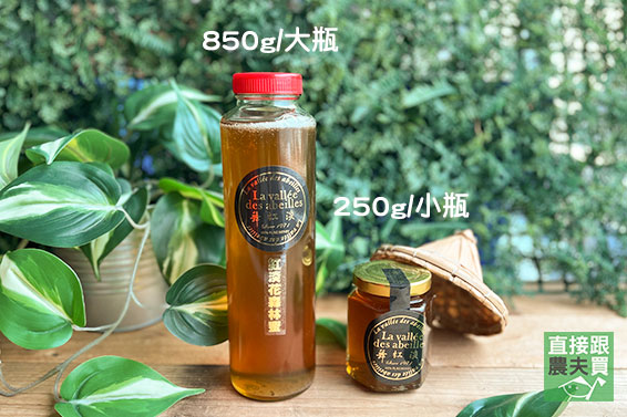 台灣特有　紅淡花野蜂蜜