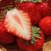  淡奶香! 有機豐香草莓
