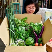 雲林小農特選 無農藥蔬果寶盒