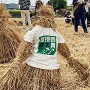 2020 養自己的米！當越光米的養父母 計畫 手割稻活動紀實