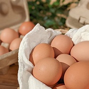 放牧蛋雙週配60顆(週六收)