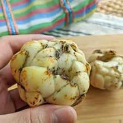 百合吃的不是花？十大QA解密食用百合！
