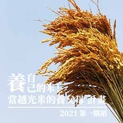 2021 養自己的米！當越光米的養父母 計畫-成長日記