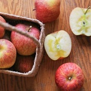 甜脆多汁 福壽山蜜蘋果「惠」(團購版)