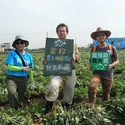 富邦集團 客製「農夫帶路活動」