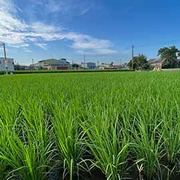 2024養自己的米計畫-第一期成長日記
