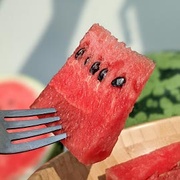 灣寶名產！有機甜美人西瓜