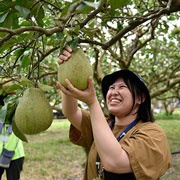 2023養自己的文旦樹計畫-成長日記