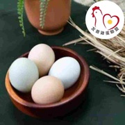 非基改飼料飼育！頂級放牧烏骨雞蛋