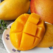 夏雪X貴妃芒果雙饗盒