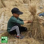 2024養自己的米計畫-第二期成長日記