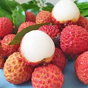 迷人胭脂香 高雄大樹荔后荔枝