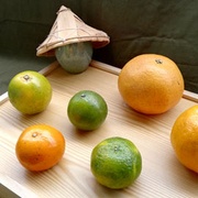 柑橘控必看！十種當季必吃柑橘特色大解密！