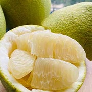 四十年老欉麻豆文旦
