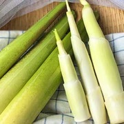 喝埔里甘泉長大！有機茭白筍