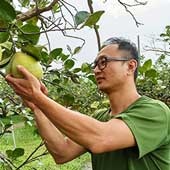 邀請您來了解文旦的一生，支持青農振葦的友善環境夢