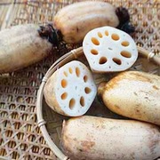 白河鮮脆蓮藕