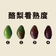 酪梨不再裝熟～一張圖，教你秒懂酪梨熟度