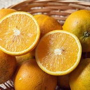 開胃!有機晚崙西亞香丁(香吉士)