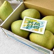 來場風味之旅！環島文旦禮盒