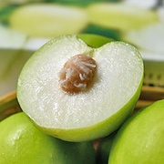 清甜爆漿 珍蜜蜜棗(高雄11號)