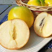 香甜滑順 阿里山黃金果 