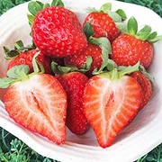 幸福濃郁 有機香水草莓