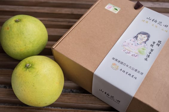 花蓮鶴岡 無農藥西施蜜柚