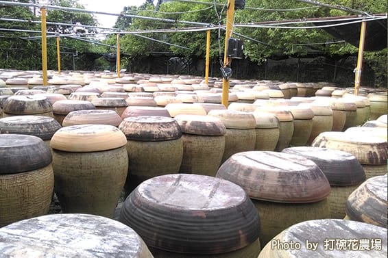 天然釀造李子醋(頂級陳醋) 