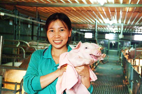 極高標飼育 里肌肉涮片