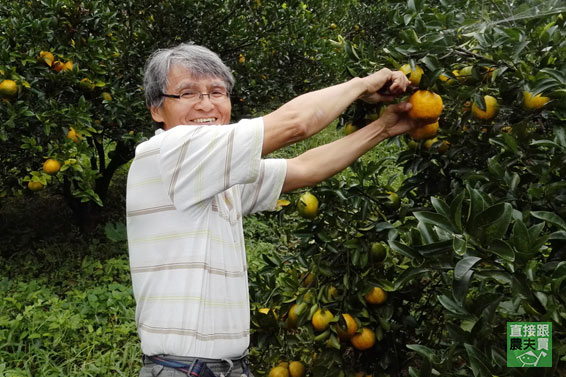 不泡藥安心榨 有機柳丁