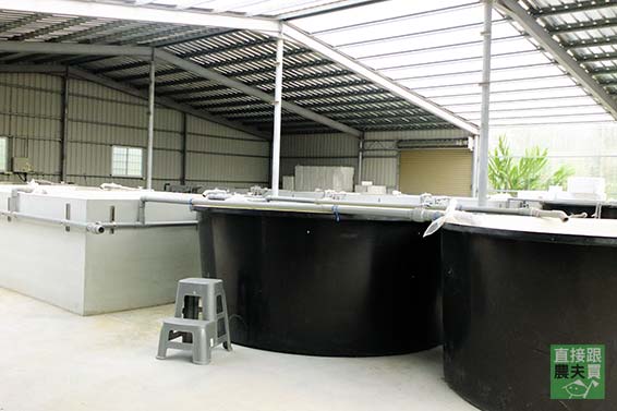 友善養殖 鱸魚高湯