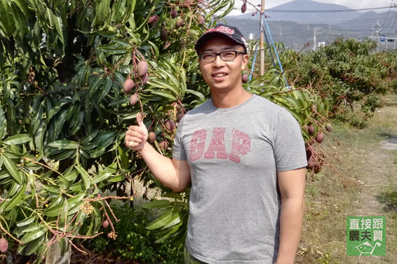 護土濃香 愛文芒果