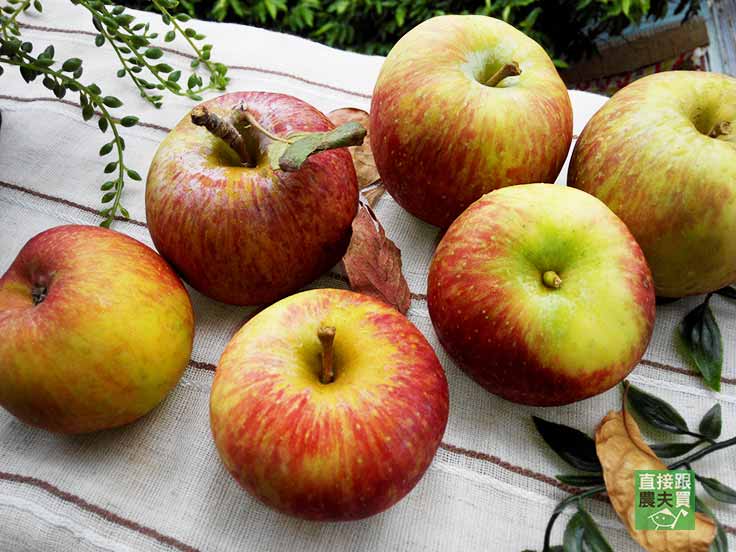 認識蘋果「天然蠟」與「人工蠟」的不同