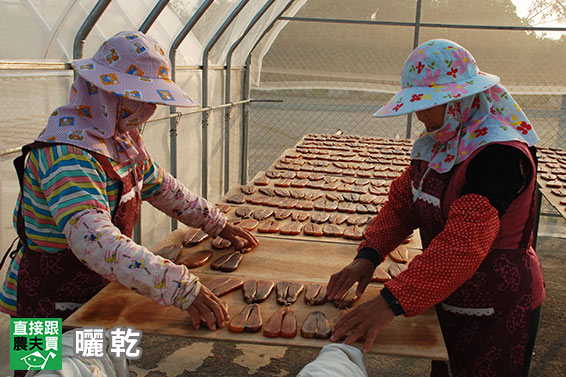 永續海洋 野生烏魚子（肥美正頭烏）