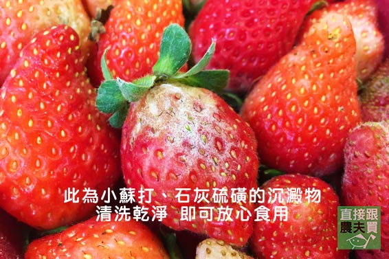 記憶中的草莓！ 豐香草莓