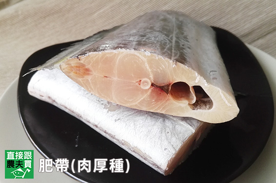 永續海洋 肥帶白帶魚（肉厚種!）