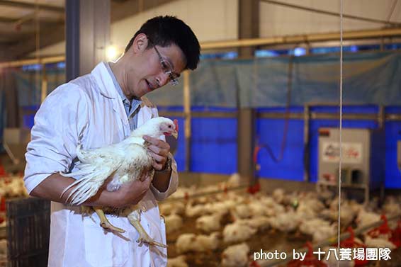 友善飼養 咖哩雞丁