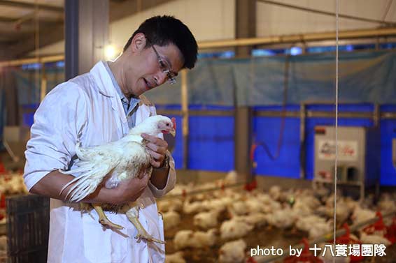 友善飼養 咖哩雞丁