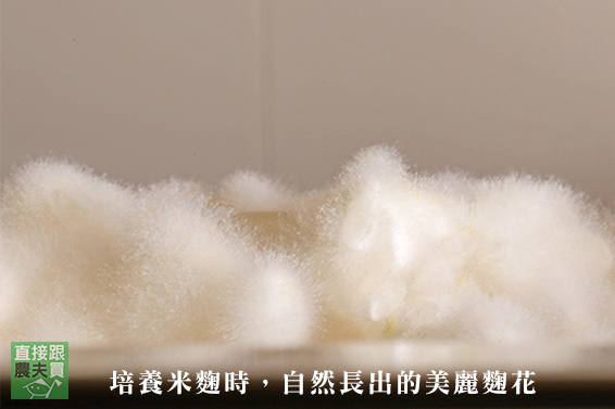 百釀千農 手工活味噌
