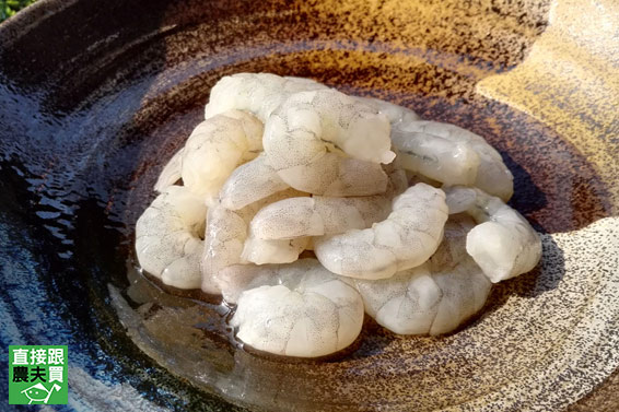 友善養殖 去殼白蝦仁