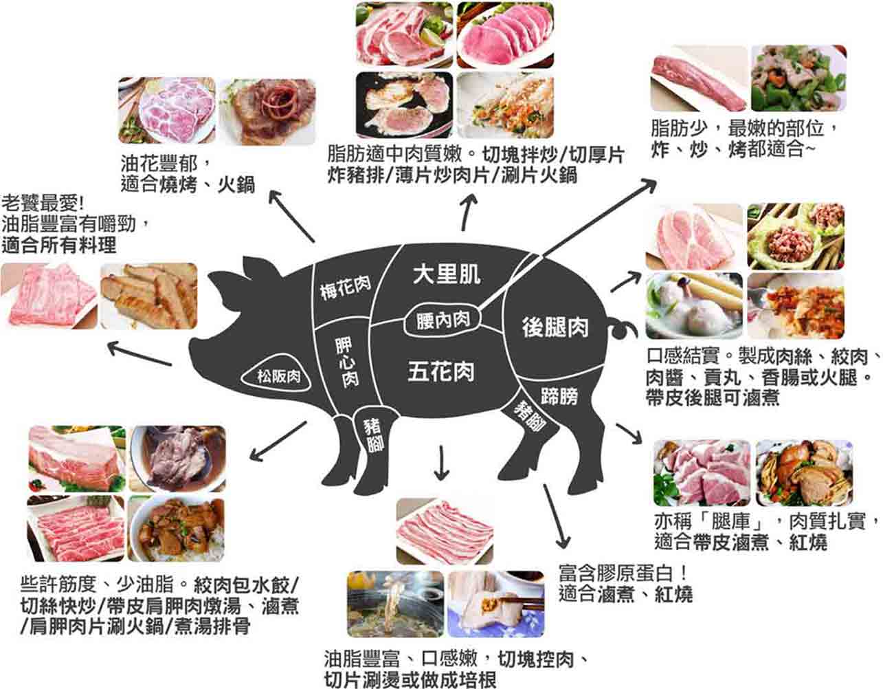 怎麼挑選豬肉部位? 快速上手料理心法