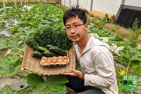 蔬食好搭檔 櫛瓜+羽衣甘藍組