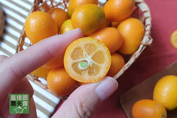 爽口回甘 有機宜蘭金棗(金柑)