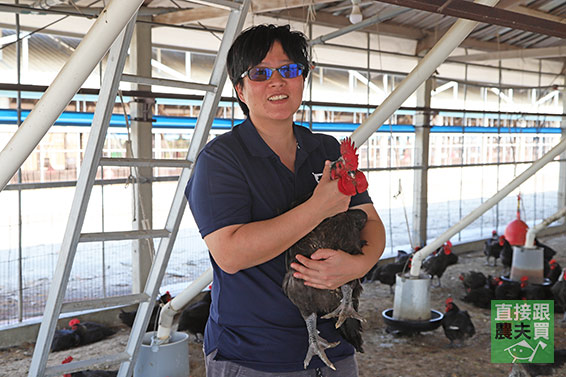 本土產安格斯黑牛 炒牛肉絲