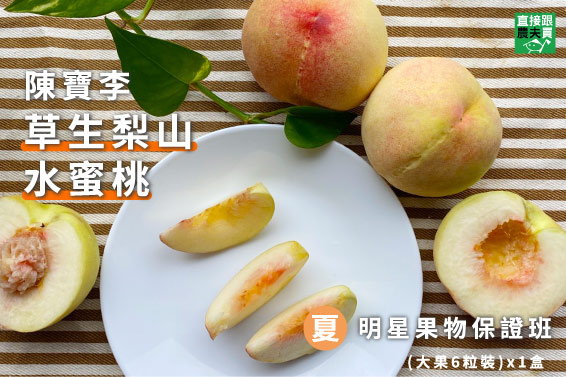 四季老饕選－明星果物保證班