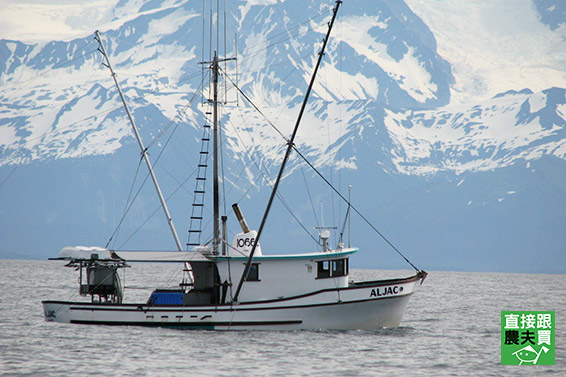 永續海洋 阿拉斯加野生銀鮭（輪切）
