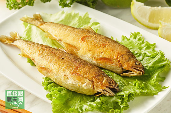 脂美肉甜 宜蘭湧泉頂級香魚（公/母）